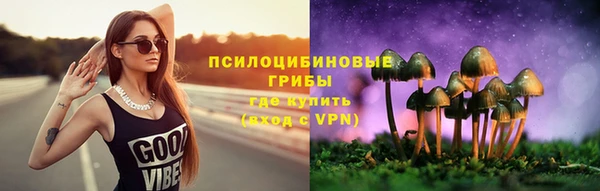 прущие крисы Алзамай