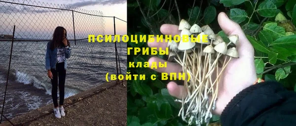 таблы Алексеевка