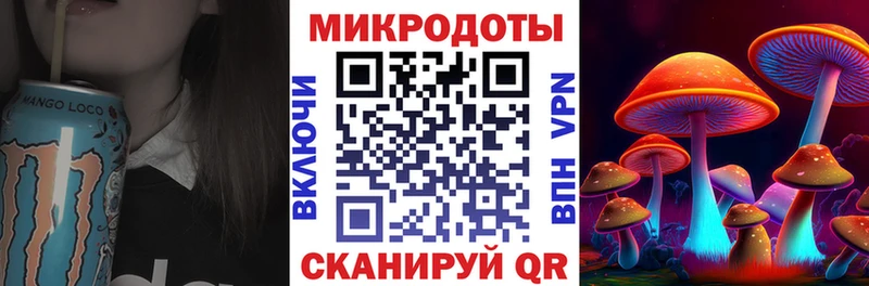 Галлюциногенные грибы MAGIC MUSHROOMS  купить  цена  Железногорск-Илимский 